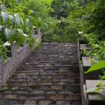 石阶