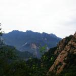 IMGP2555