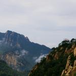 IMGP2565