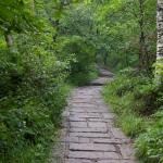 山间小路
