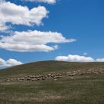 20130610_121248_istDL