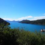 Picton的海湾