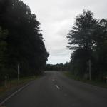 前往Hokitika的路上