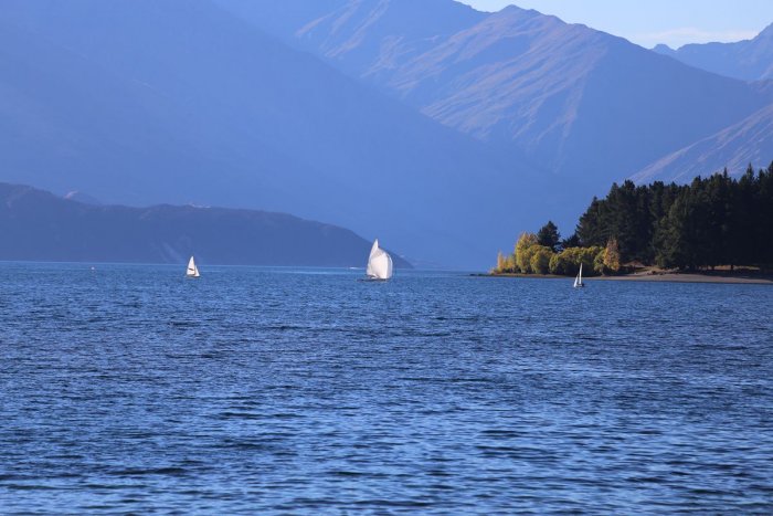Wanaka湖上的帆船