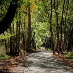 Arrowtown