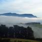 Dunedin的云海