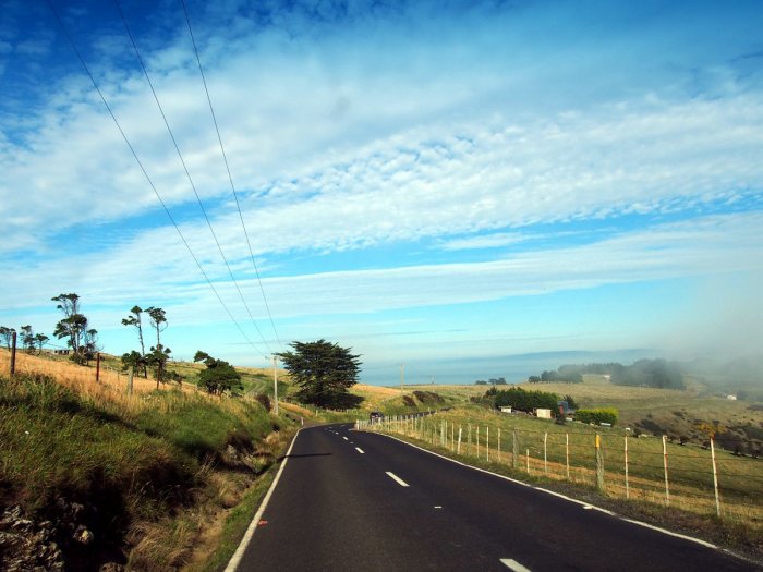 Otago半岛下山路