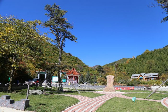 茅荆坝森林公园停车场