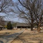 20170402_124209_EOS6D