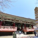 20170403_115239_EOS6D