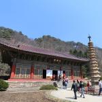 20170403_115340_EOS6D